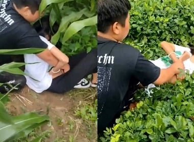 คลิปเต็มเพศ Nguyen Mai รถรางและมีเสน่ห์ยากที่จะต้านทาน