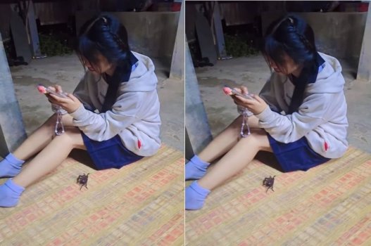 เมื่อร่างกายหลงใหล